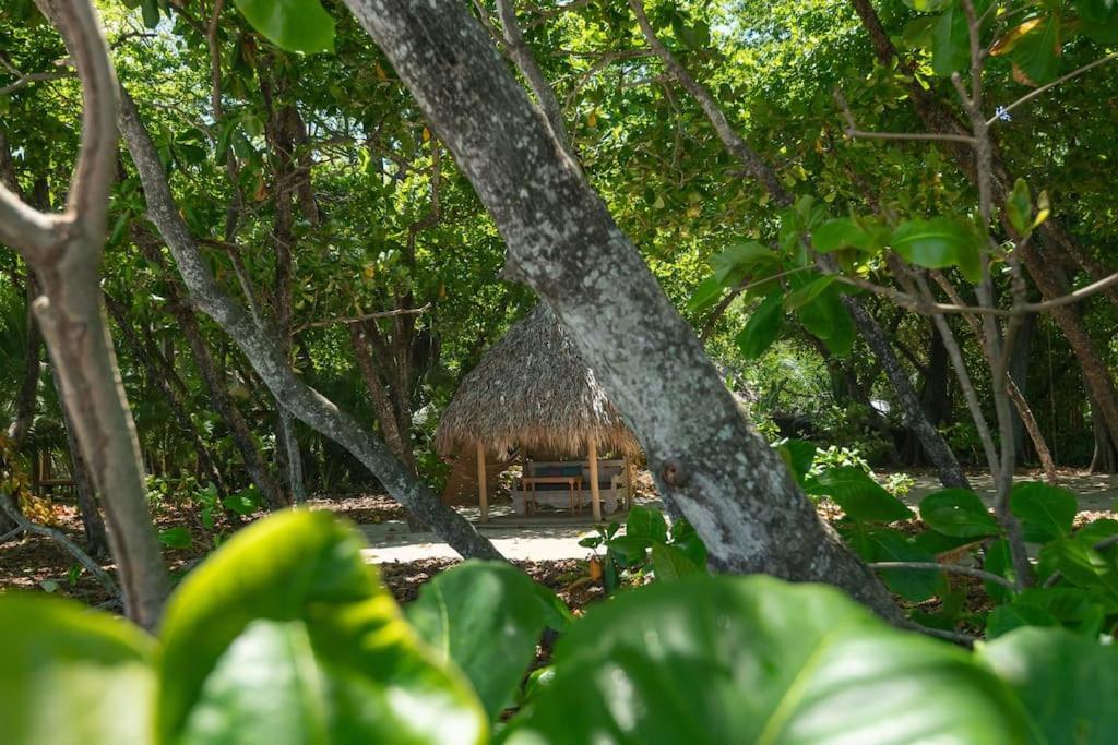 Villas Almendros Playa Santa Teresa  Экстерьер фото